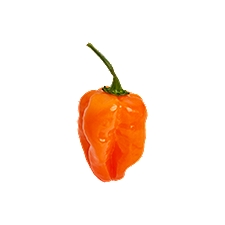 Habanero Pepper, 1 ct, 1 oz