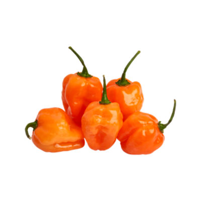 Fresh Habanero Pepper