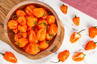 Fresh Habanero Pepper