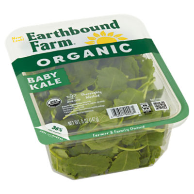 Frozen Organic Green Beans - Earthbound Farm