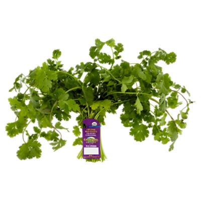 Farms Organic Cilantro