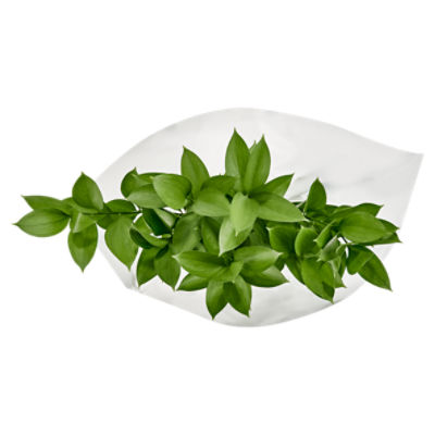 The Floral Shoppe Ruscus Bunch