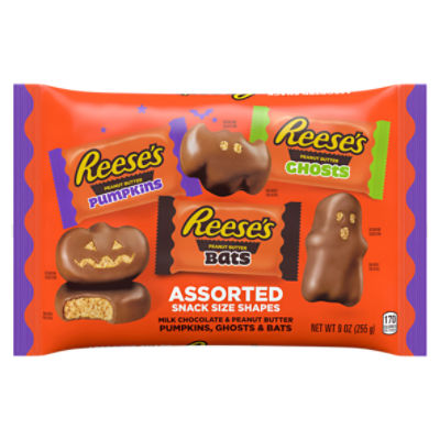 REESE'S Milk Chocolate Peanut Butter Snack Size, Halloween Candy Variety Bag, 9 oz