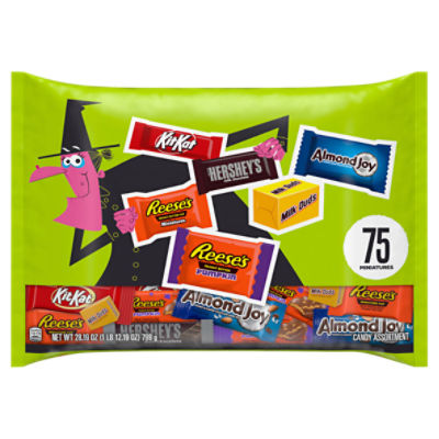 Hershey Miniatures Assorted Chocolate Flavored Halloween Candy Bag, 28.19 oz, 28.19 Ounce