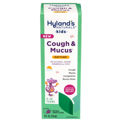 Hylands Naturals Kids Cough And Mucus Daytime Homeopathic Liquid 2 12