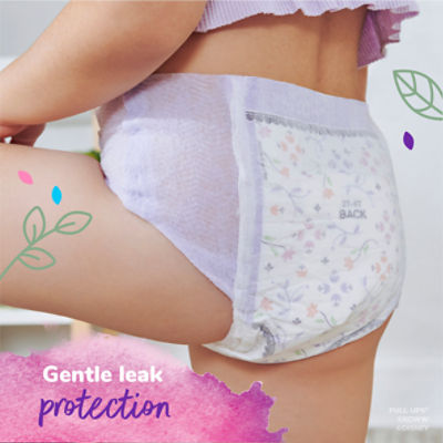 Training Underwear for Girls Potty Training Underwear for Girls Potty  Training Underwear 3t Potty Training Pants 3t-4t Potty Training Underwear  for Girls Toddler Training Underwear Girls Waterproof : : Clothing  & Accessories
