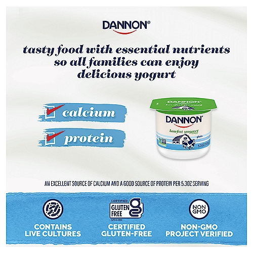 Dannon Vanilla Lowfat Yogurt, 5.3 oz