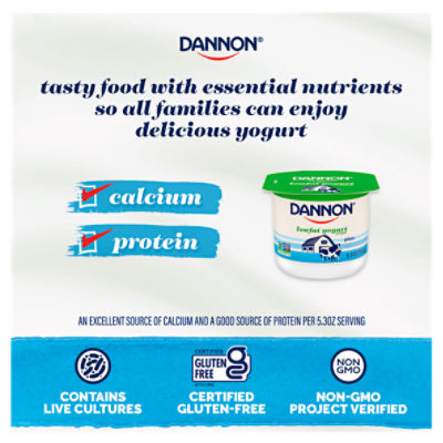 Dannon Coffee Lowfat Yogurt, 5.3 oz