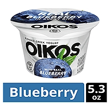 Oikos Loaded with Real Blueberry Blended Greek Nonfat Yogurt, 5.3 oz, 5.3 Ounce