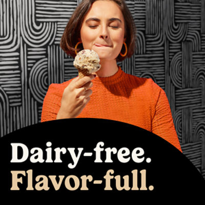 So Delicious Dairy Free Peanut Butter Brownie Cashewmilk Non-Dairy Frozen Dessert, 1 pint