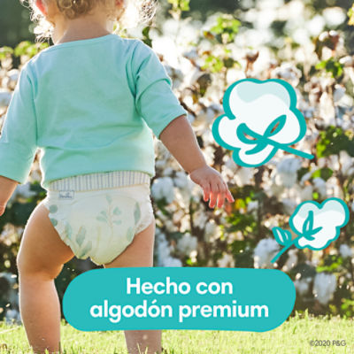 Pañal Pampers Premium Protection Talla 1