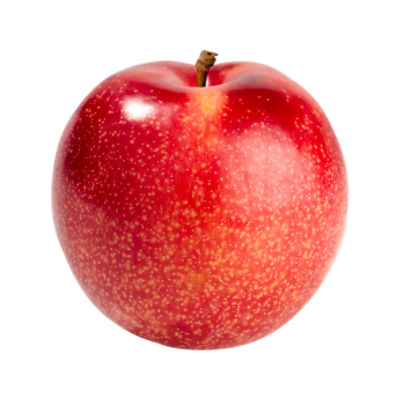 Red Plum- Large, 5 oz, 5 Ounce