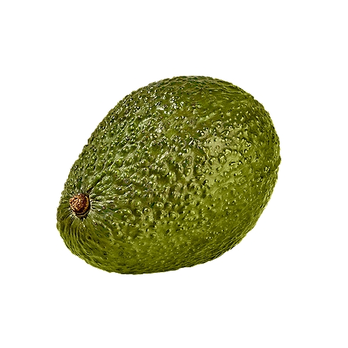 One of the most delicious varieties of avocado with a creamy flesh and a superior taste.