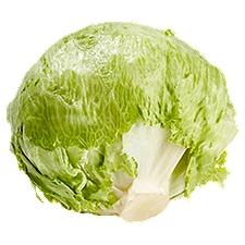 Iceberg Lettuce, 1 each, 1 Each