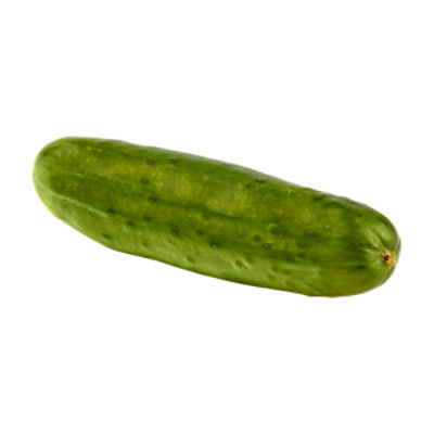 Buy Wholesale Canada Fresh Cucumber/ Fresh Vegetable Cucumber Organic  Wholesale High Quality Healthy Fresh Cucumber & Fresh Cucumber at USD 150