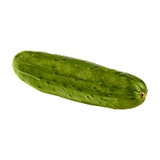 Fresh Cucumber, 1 each, 1 Each