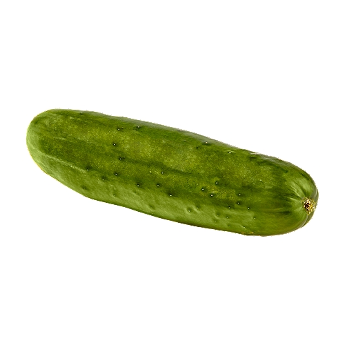 Fresh Cucumber, 1 each