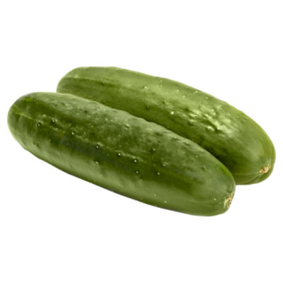 Buy Wholesale Canada Fresh Cucumber/ Fresh Vegetable Cucumber Organic  Wholesale High Quality Healthy Fresh Cucumber & Fresh Cucumber at USD 150