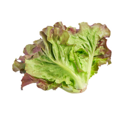 Red Leaf Lettuce, 9 oz