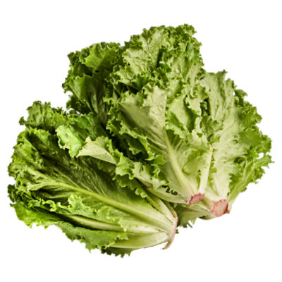 Green Leaf Lettuce, 1 ct, 9 oz