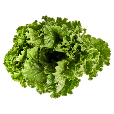 Green Leaf Lettuce, 1 ct, 9 oz