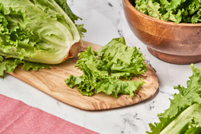 Green Leaf Lettuce, 1 ct, 9 oz
