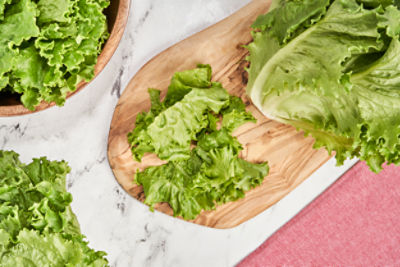 Green Leaf Lettuce, 1 ct, 9 oz