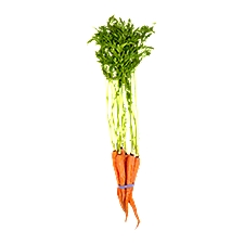 Carrots, 1 Bunch, 1 each
