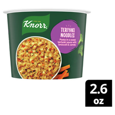 Knorr Pasta Cup Teriyaki Noodles 2.6 oz