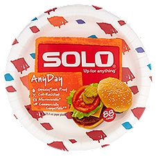 Solo  Up for Anything Any Day 10 in, Paper Plates, 88 Each