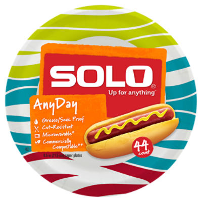 SOLO Cup Company Solo Cup Any Day Paper Plates, 8.5 Inch, 376 Count