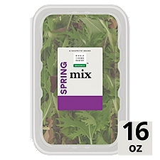 Wholesome Pantry Organic Spring Mix, 16 Ounce
