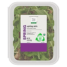 Wholesome Pantry Organic Spring Mix, 5 Ounce
