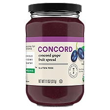 Wholesome Pantry Fruit Spread Concord Grape, 11 Ounce