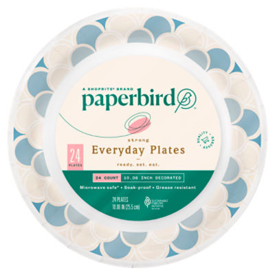 Paperbird 10.06 Inch Decorated Strong Everyday Plates, 24 count, 24 Each