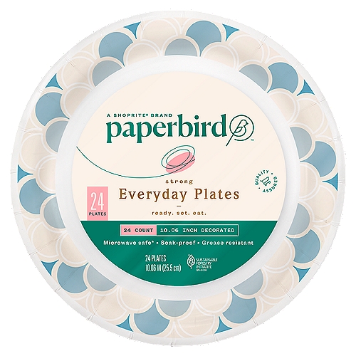 Paperbird 10.06 Inch Decorated Strong Everyday Plates, 24 count