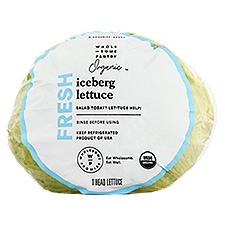 Wholesome Pantry Organic Fresh Iceberg Lettuce, 1 count