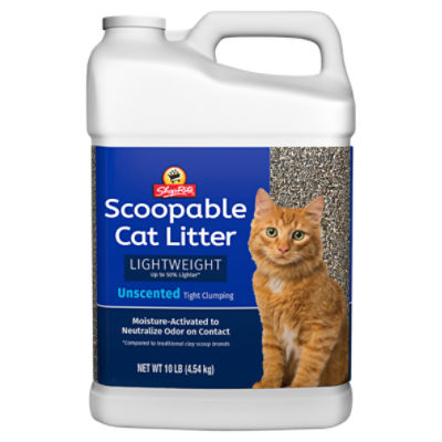 Essential Everyday Clumping Cat Litter, Multi Cat, Lightweight, Scoopable,  Unscented 10 Lb