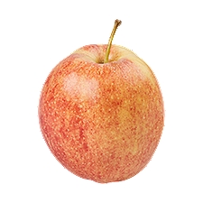 Gala Apple, 1 ct, 5 oz, 5 Ounce