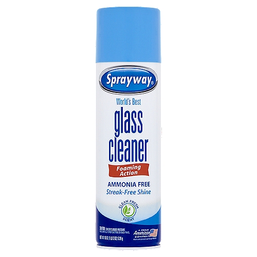 Sprayway Glass Cleaner, 19 fl oz