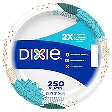 DIXIE® EVERYDAY PRINTED PAPER PLATES, 8 1/2 IN PLATES, 250CT