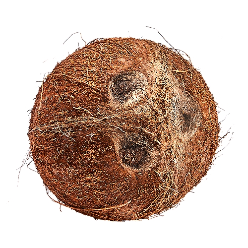Coconut 1 ct, 1 each