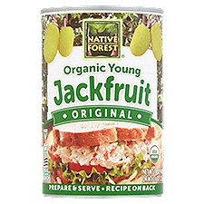 Native Forest Original Organic Young Jackfruit, 14 oz