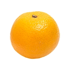 Florida Oranges, 1 ct, 1 each, 1 Each