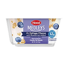Hood Medleys 4% Cottage Cheese with Blueberries Added, 5 oz