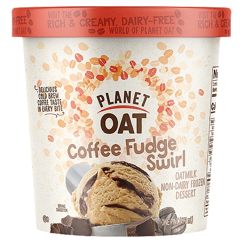 Planet Oat Coffee Fudge Swirl Non-Dairy Frozen Dessert, One Pint