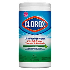 Clorox Fresh Scent Disinfecting Wipes, 75 count, 1 lb 2.2 oz