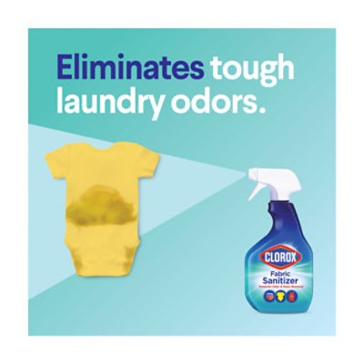 Clorox Fabric Sanitizer Spray As Low As $2.05 At Publix (Plus Cheap Laundry  Sanitizer) - iHeartPublix