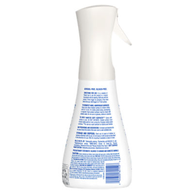 Clorox Eucalyptus Peppermint Multi-Surface Disinfecting Mist, 16 fl oz