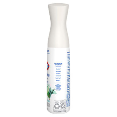 Clorox Eucalyptus Peppermint Multi-Surface Disinfecting Mist, 16 fl oz